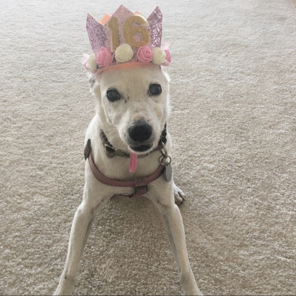 Meet Your Posher, Erika - Picture 8 of 8